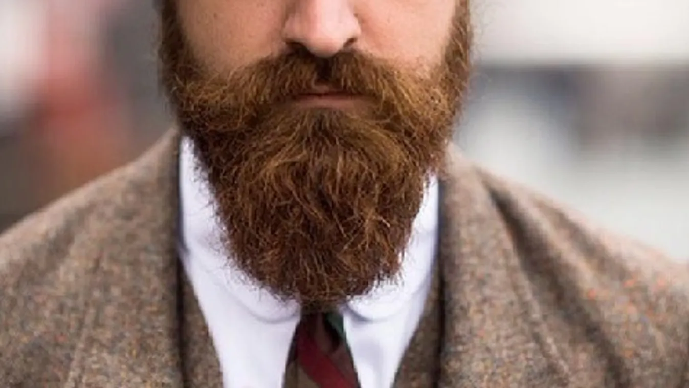 Gyógyszőr – Felfedező