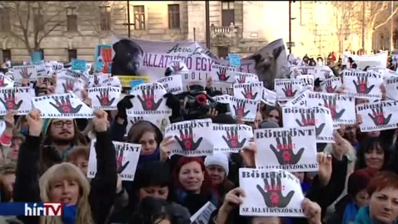 Súlyosabb büntetést kérnek az állatkínzóknak