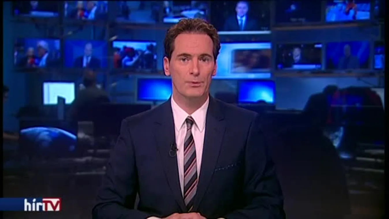 Fülesbaglyok lakták be a városháza udvarát