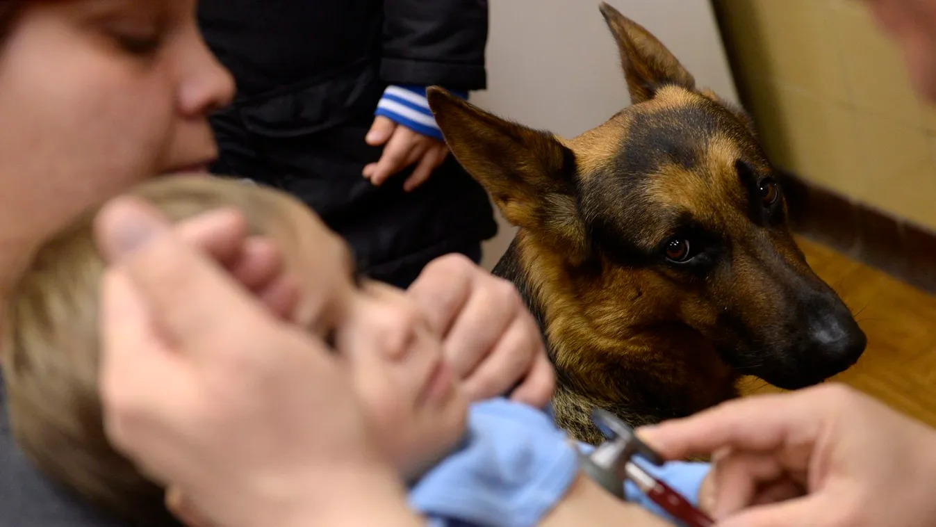 Igazolt terápia – Reggeli járat