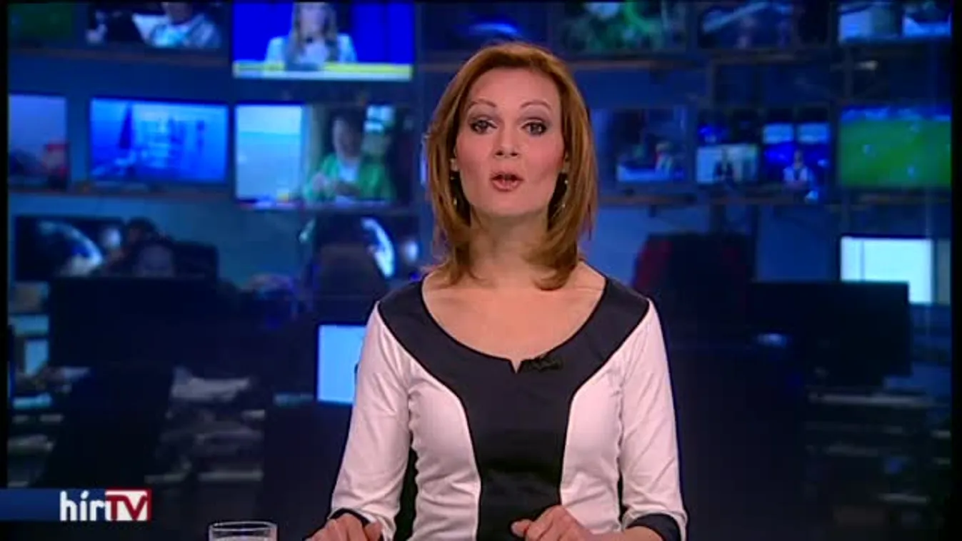 Százmilliók kamutanulmányokra