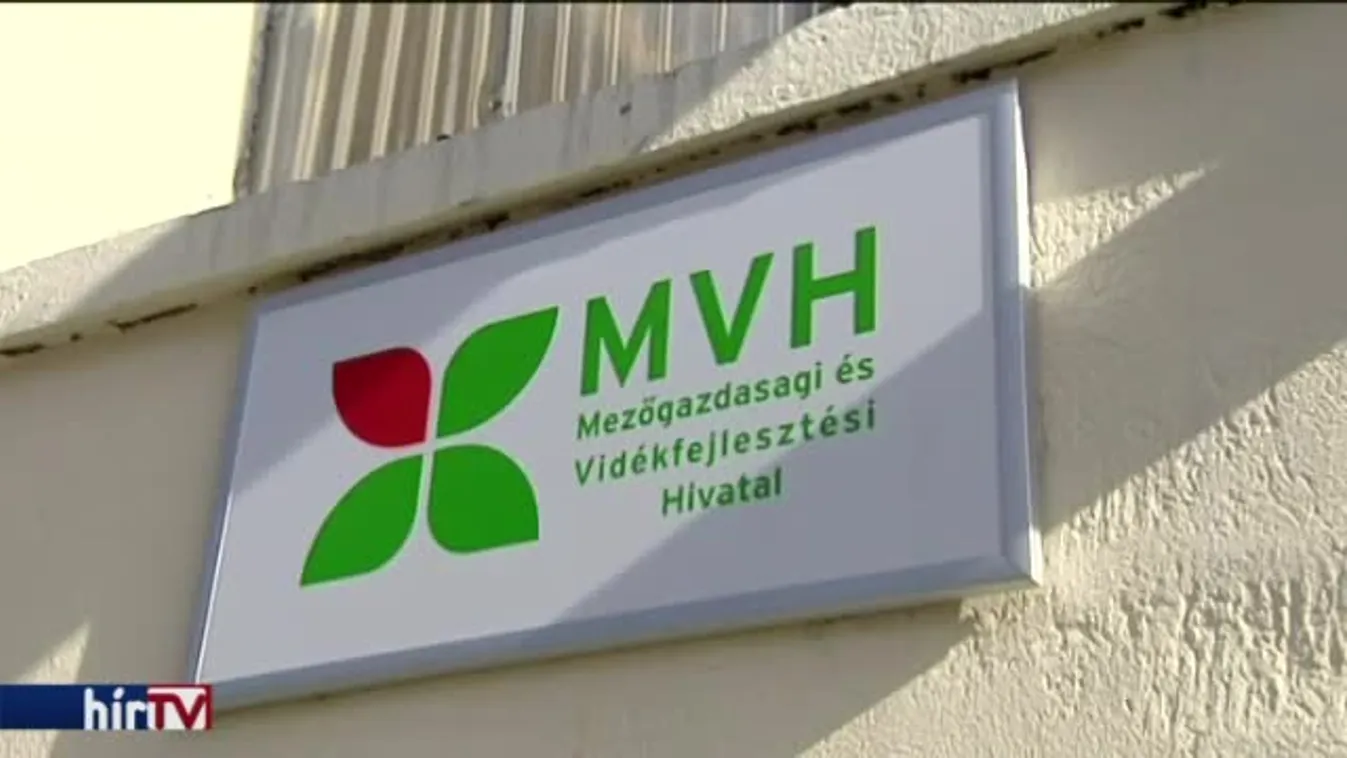 Lázár magához venné az MVH feladatait
