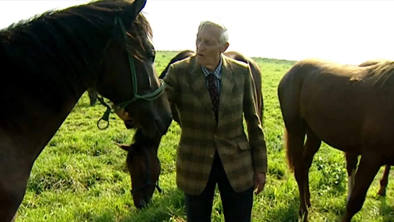 A sárvári ménesgazda – Vetítő