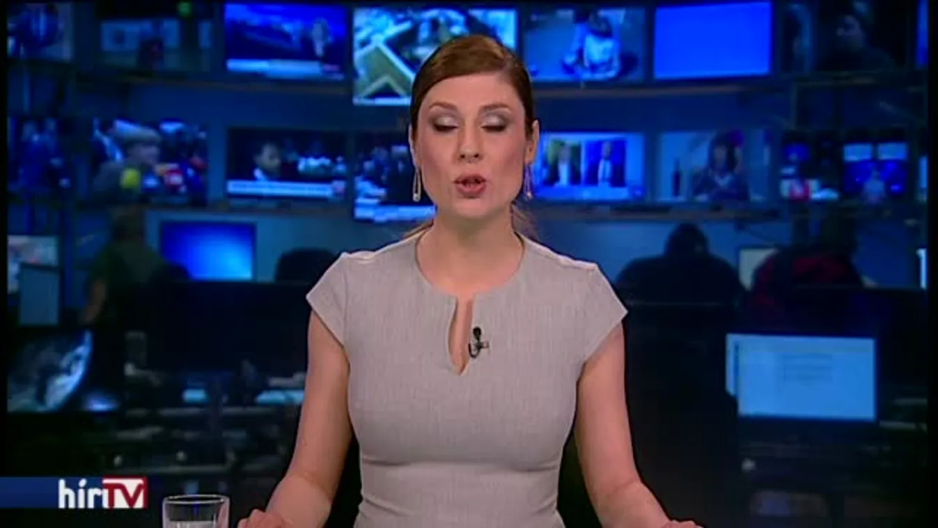 Kitiltanák a magyar nyelvet a közigazgatásból