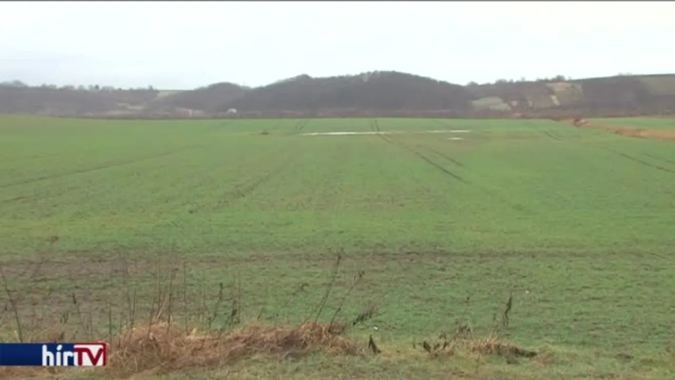 MSZP: A sofőrök voltak a fideszesek strómanjai