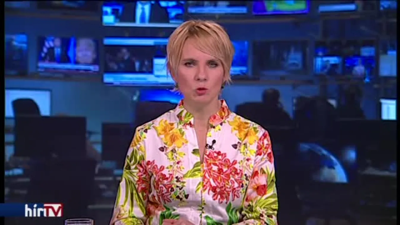 Navracsics: Nem a törvény vezetett az „incidenshez”