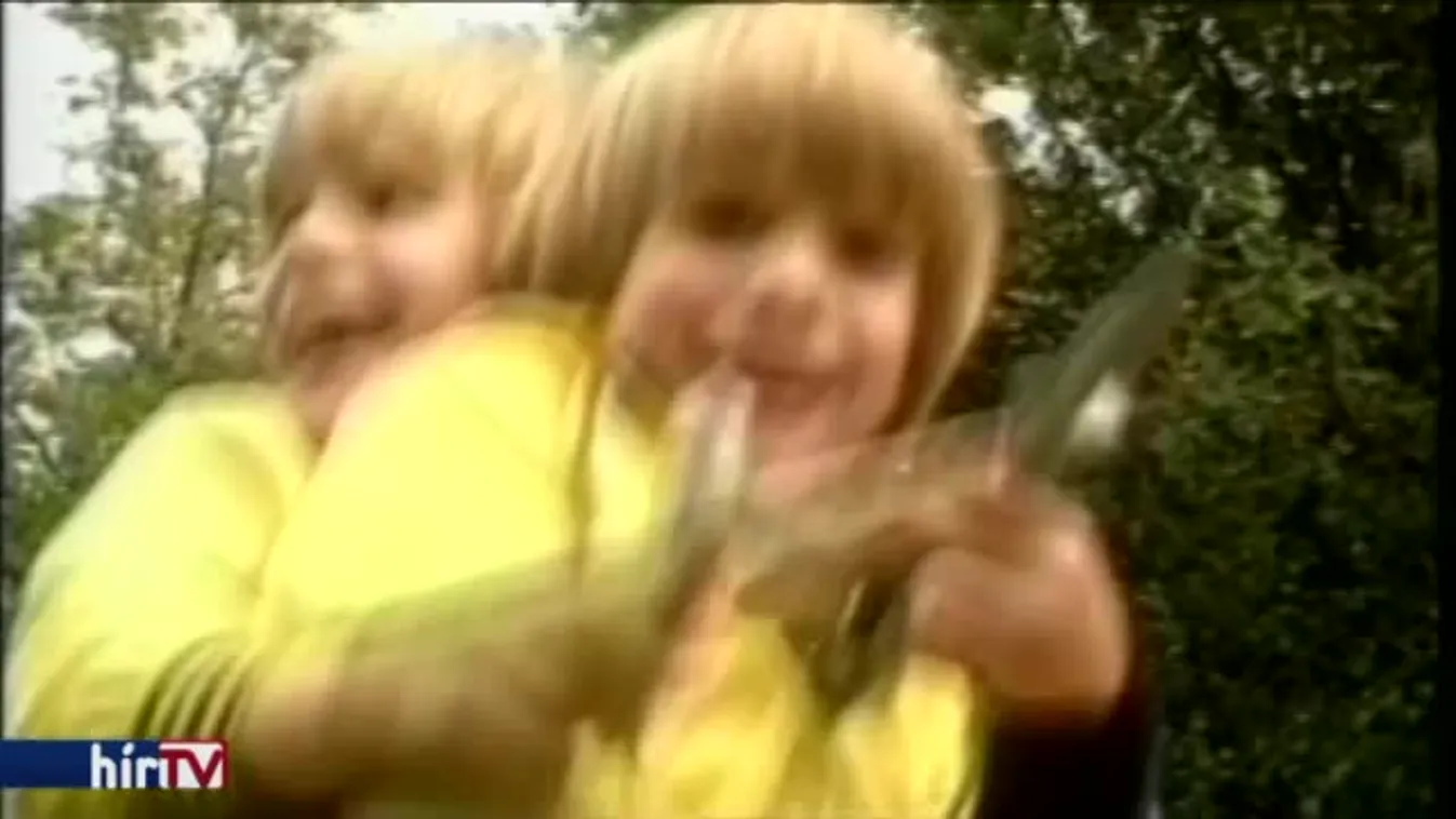 Reggeli járat – 30 éves a Napoleon Boulevard