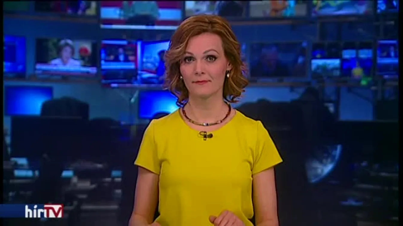 Több mint húsz kutya talált gazdára