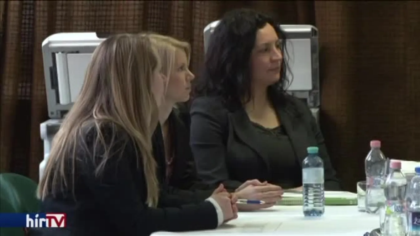 Győrben a Simicska Lajos érdekeltségébe tartozó földeket árverezik