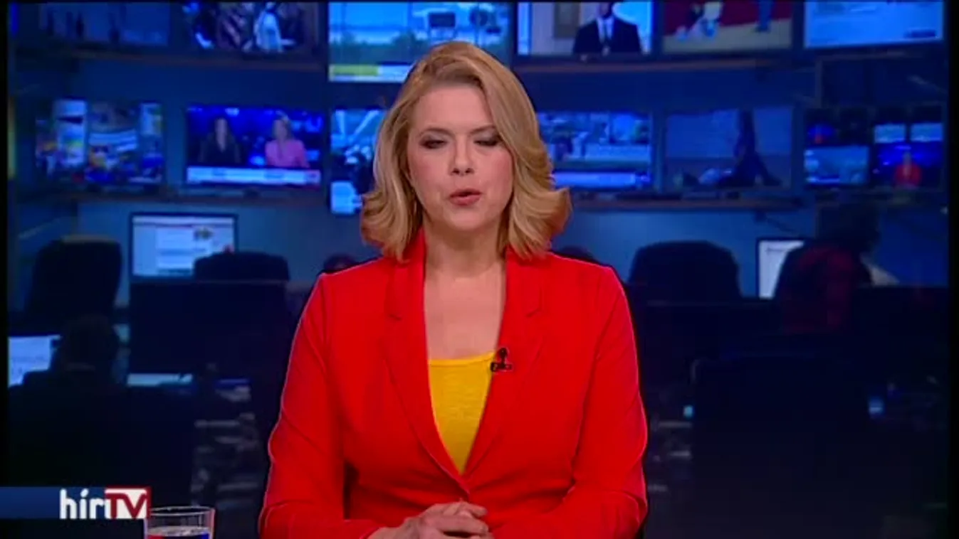 Politikai menedékjogot követel magának az egyiptomi gép eltérítője