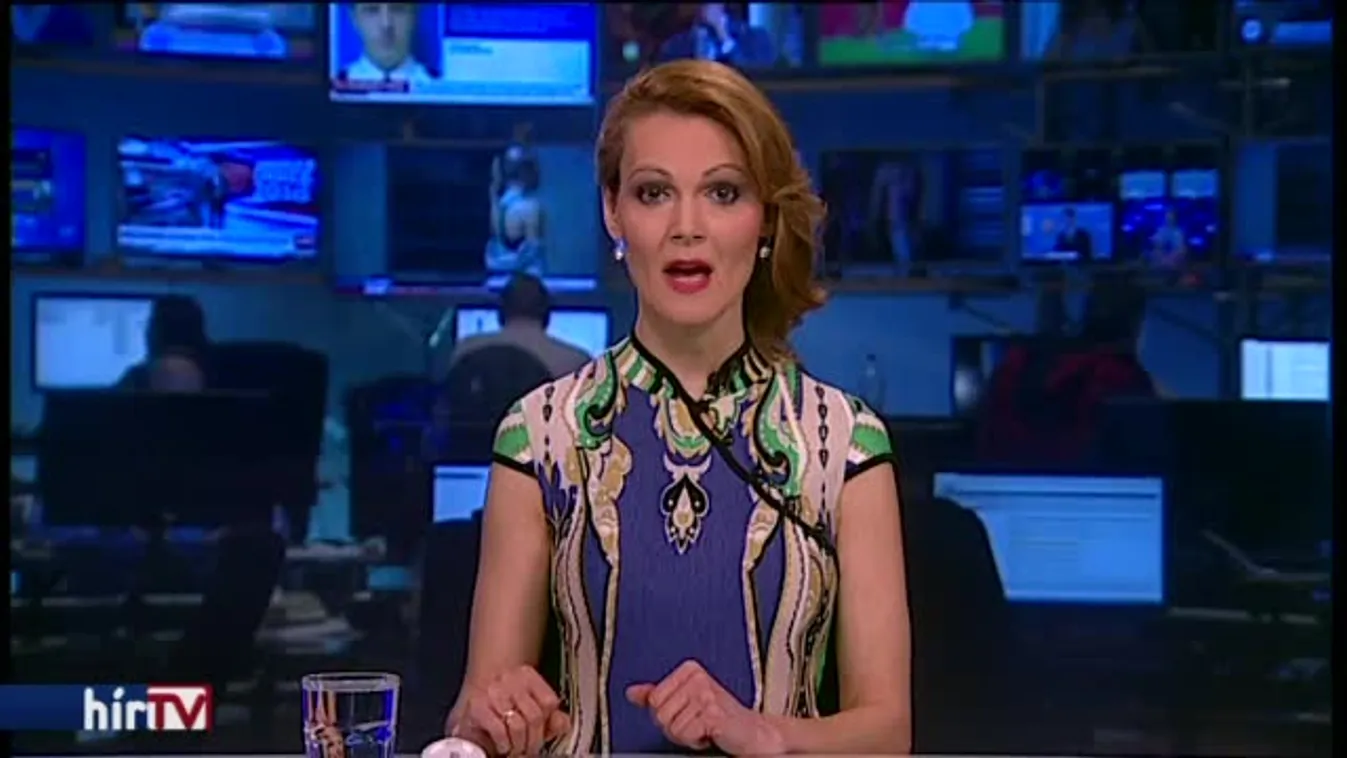 Gulyás a pártfegyelem miatt szavazott igennel