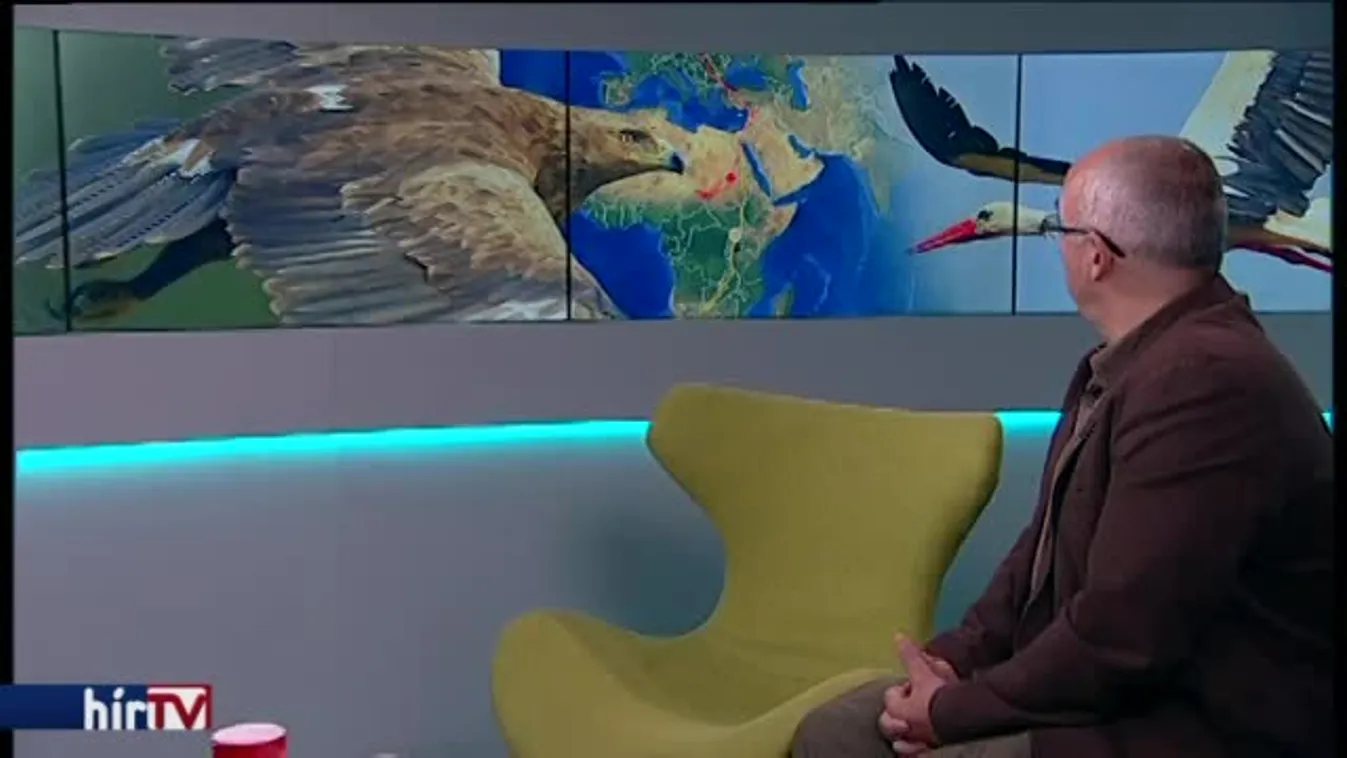 Reggeli járat – Már itt vannak az első gólyák