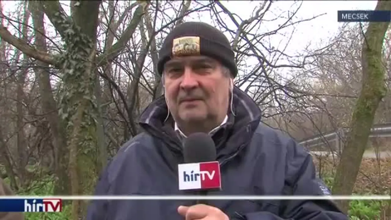 Reggeli járat – Beindult a medvehagymaszezon