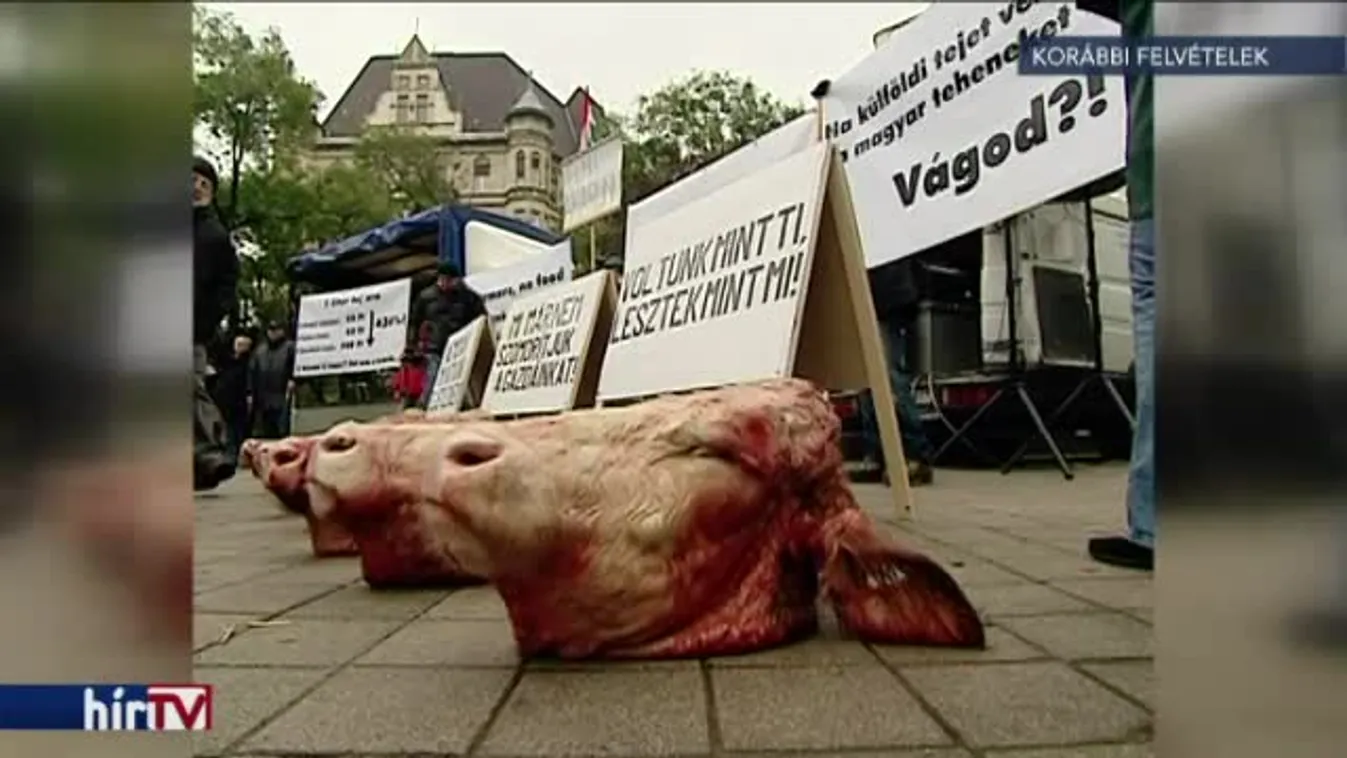 Országos tiltakozásba kezdenek a hazai tejtermelők