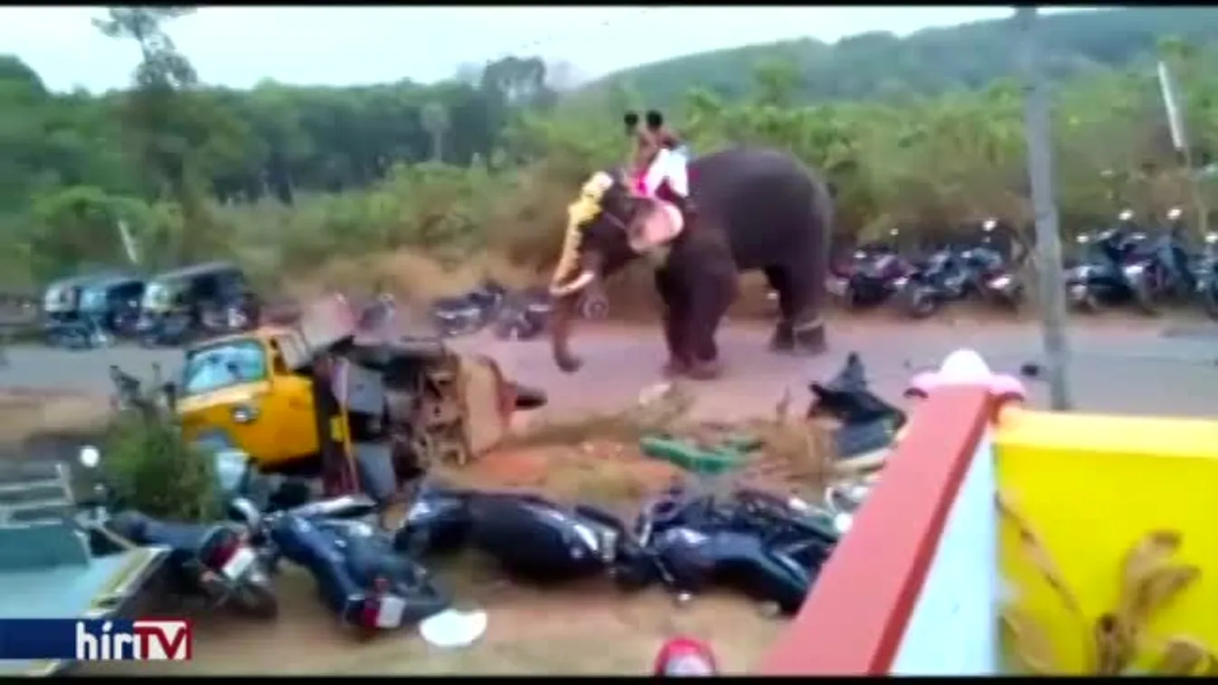 Összetört egy járművet egy elefánt Indiában