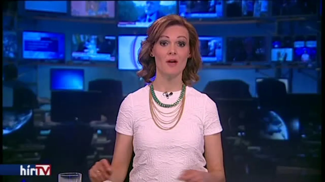 Schiffer: Itt az alkalom rendbe tenni a népszavazás intézményét