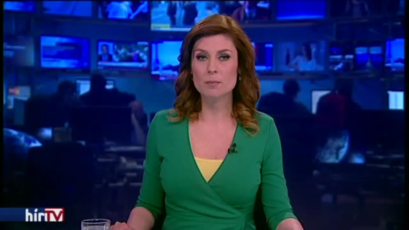 Jogerősen is bűnös Dávid Ibolya és Herényi Károly