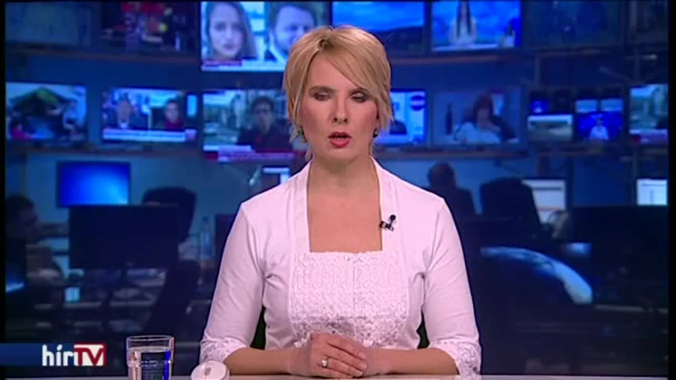 Több tagállam is hazánk ellen avatkozott be