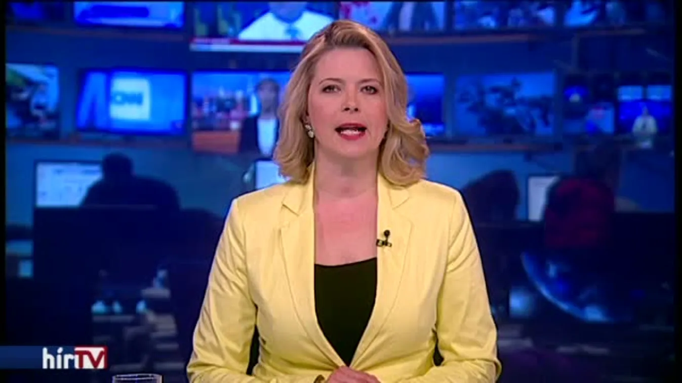 A magyar határra is kerítést húznának az osztrákok