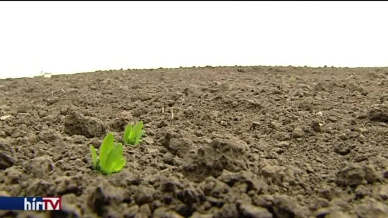 „Baráti köröknek, áron alul adják a földeket”