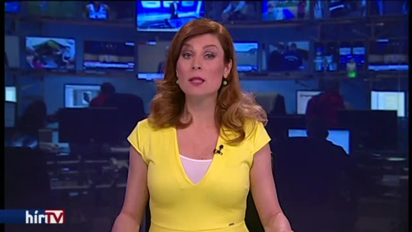 Vizi E. Szilveszter visszaadja román kitüntetését