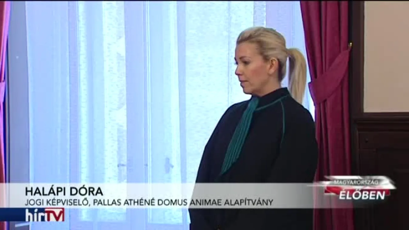 Magyarország élőben - Nyilvánosság