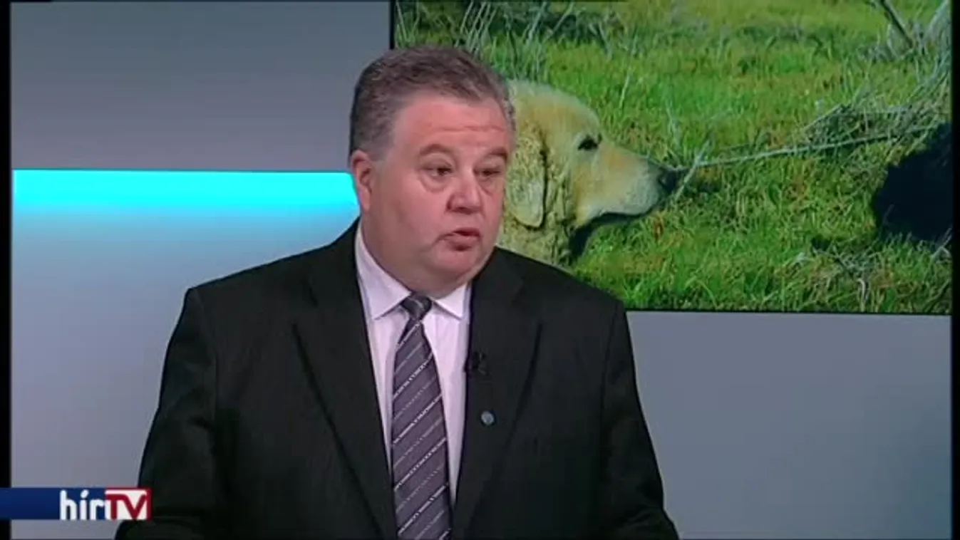 Reggeli járat – Állami felügyelet nélkül marad a kutyatenyésztés?