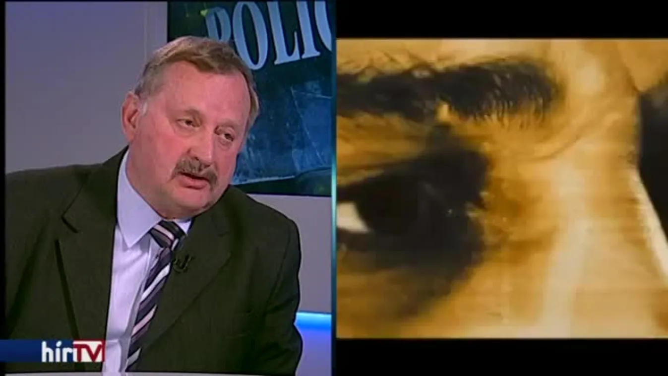 Magyarország élőben - Fenyegetés