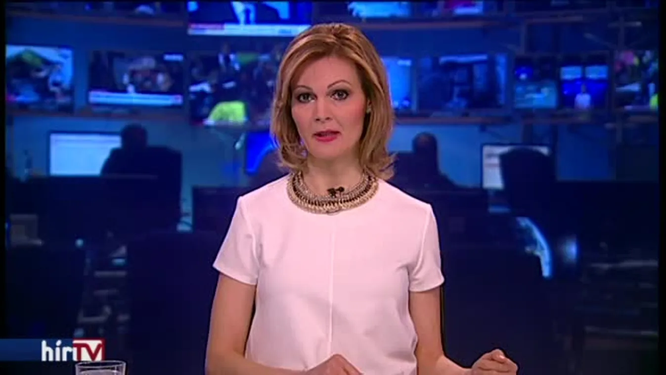 Az osztrák alkancellár helyesli a magyar kerítést