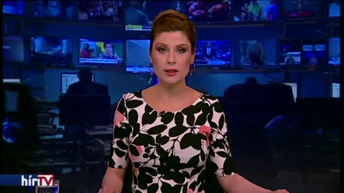 Lesöpörték a Jobbik népszavazási kérdését