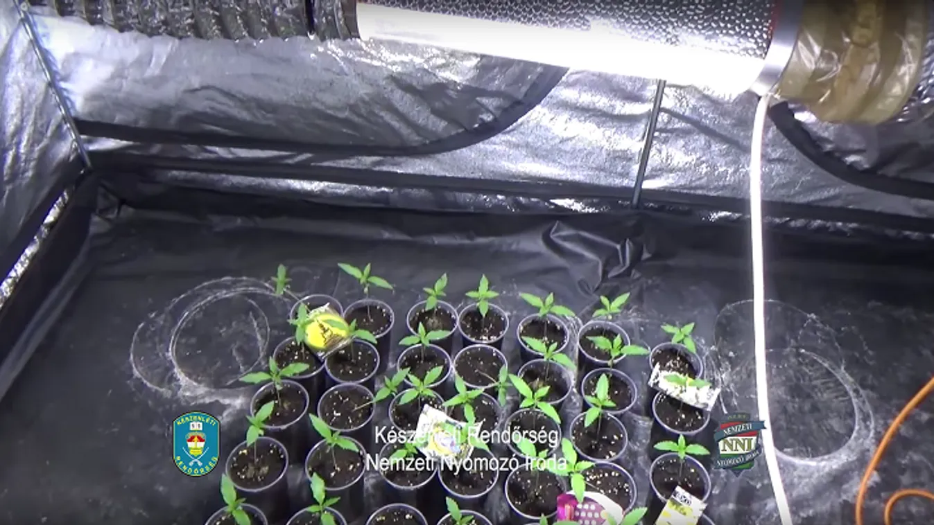 25 milliós kábítószerfogás Budapesten