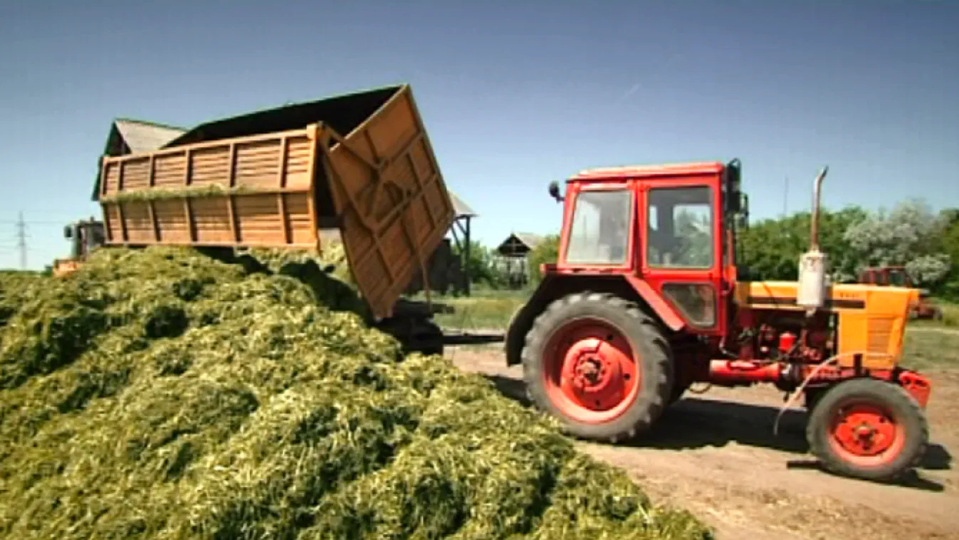 Az MSZP elvárja a licitek eltörlését