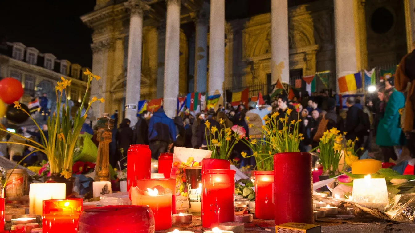 Elhárítás – Hírvilág