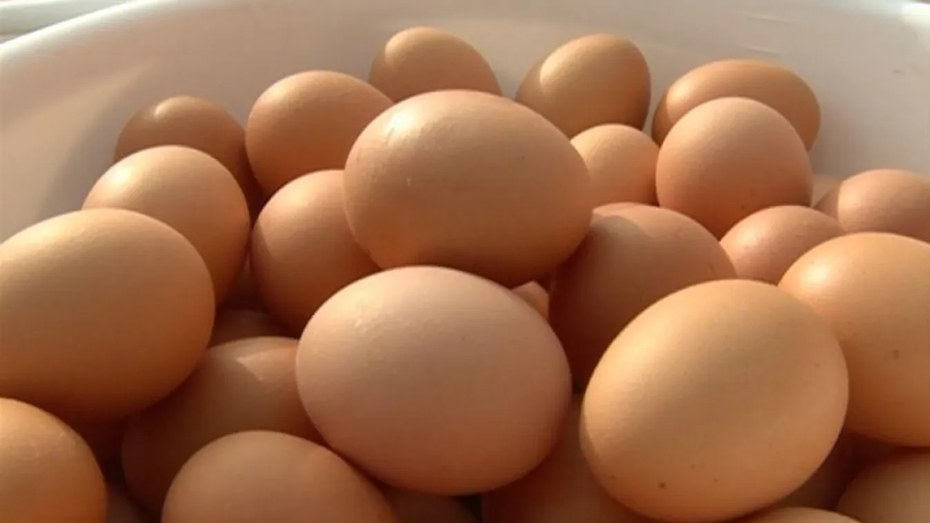 S méret – Soroló