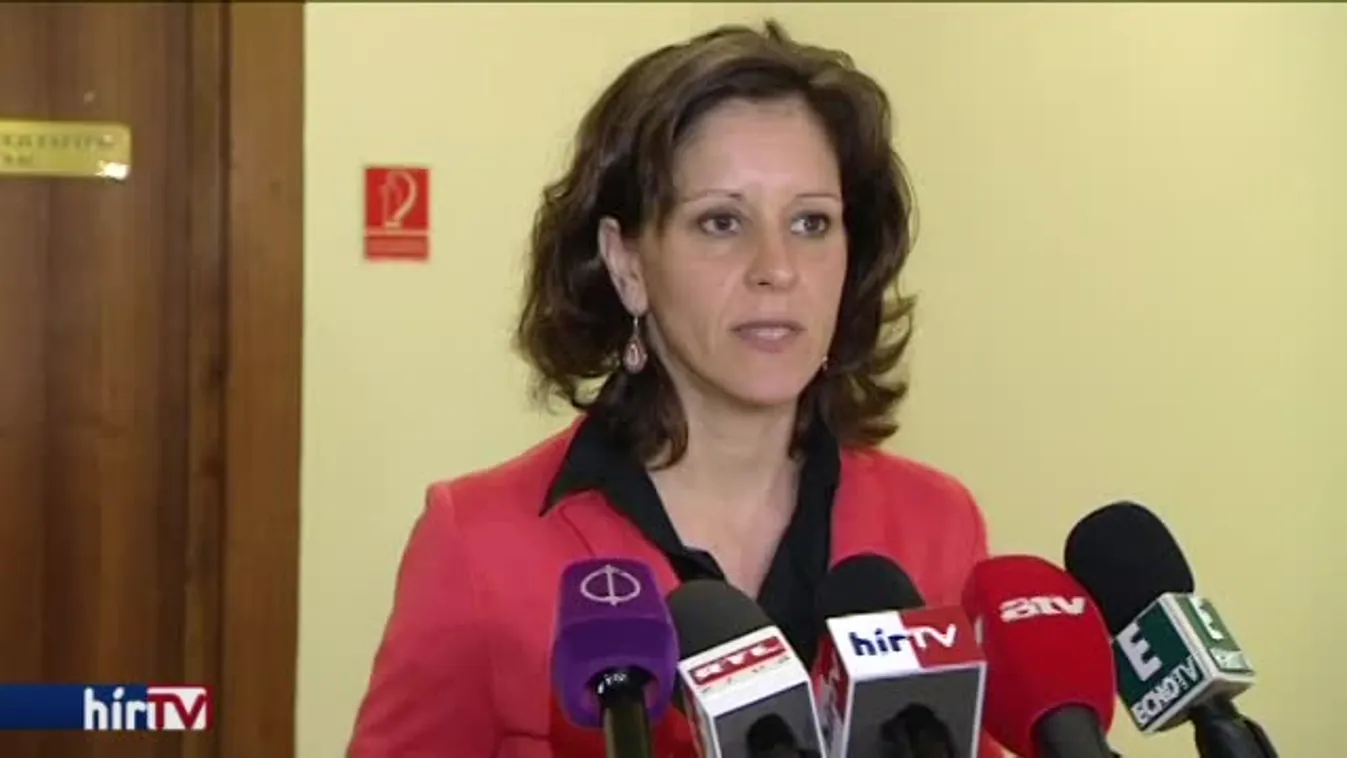 Az LMP a hétvégi kormányzati informatikai rendszerek elleni támadásról és az NVI-botrányról