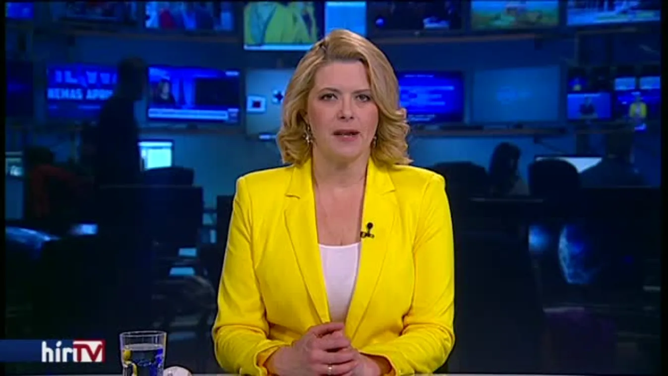 Gyurcsány szerint a Fidesz csak a témát tereli