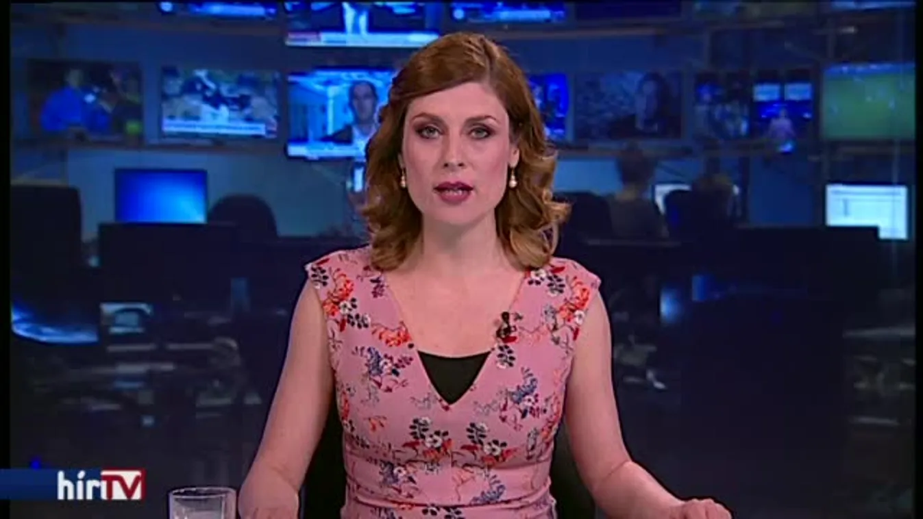 Politikusok bízták meg a kopaszokat?