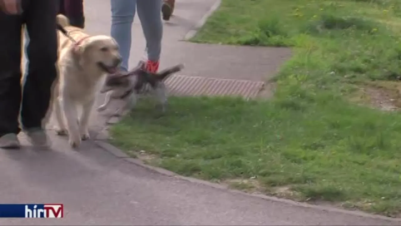 Felvonulás a felelős állattartásért Pécsett