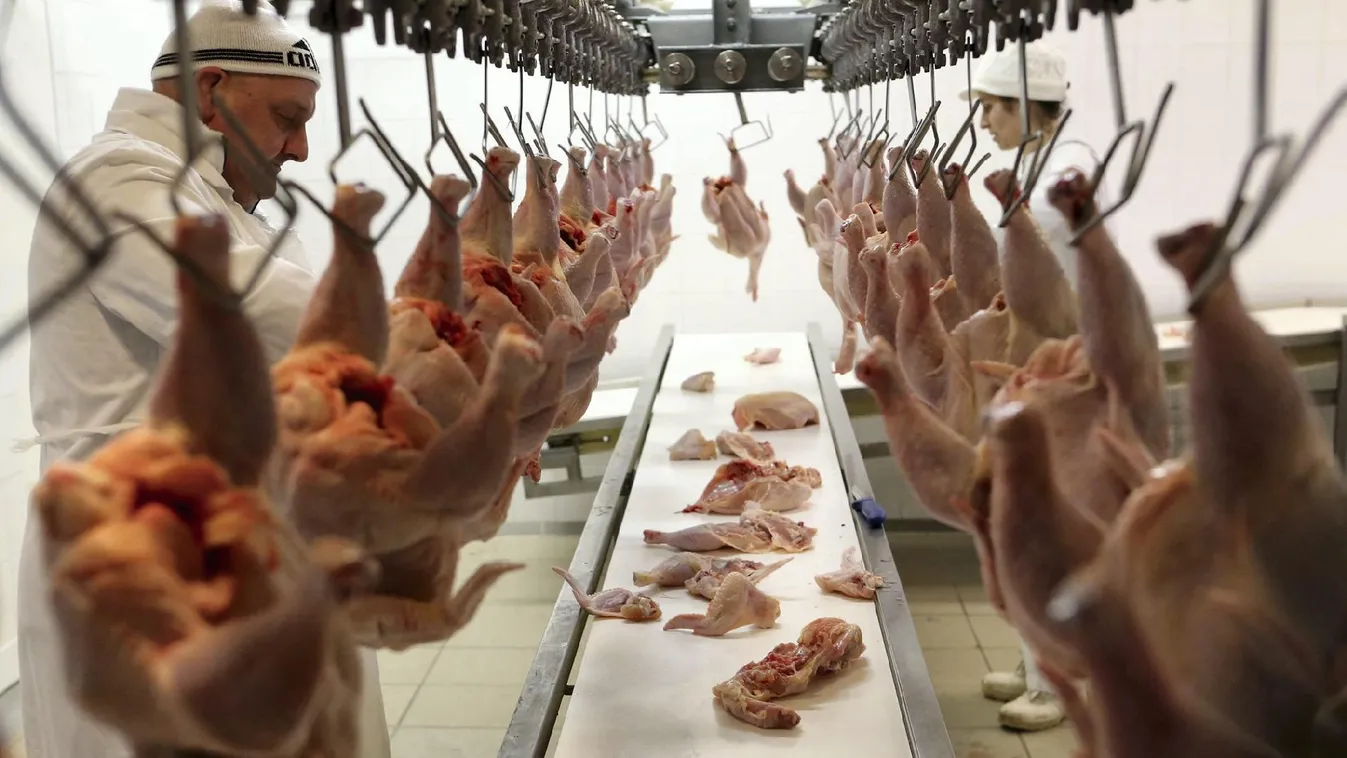 Font: Évi 40&nbsp;ezret spórolhatnak a családok