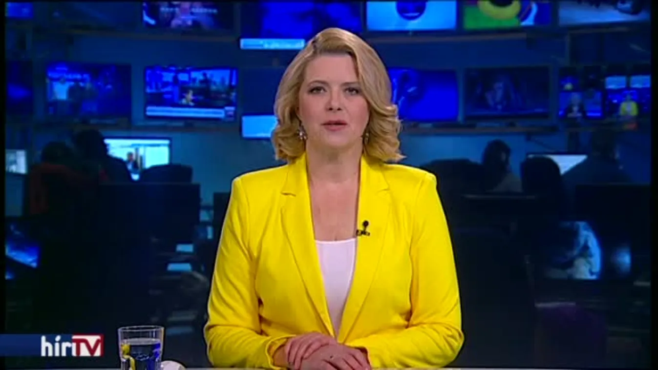 Morvai Krisztinának nem tetszik Vona Gábor módszere