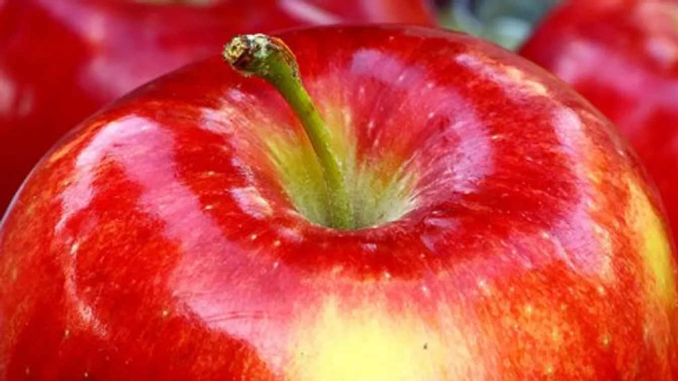 Az európai gyümölcstermés is megsínyli a fagyot