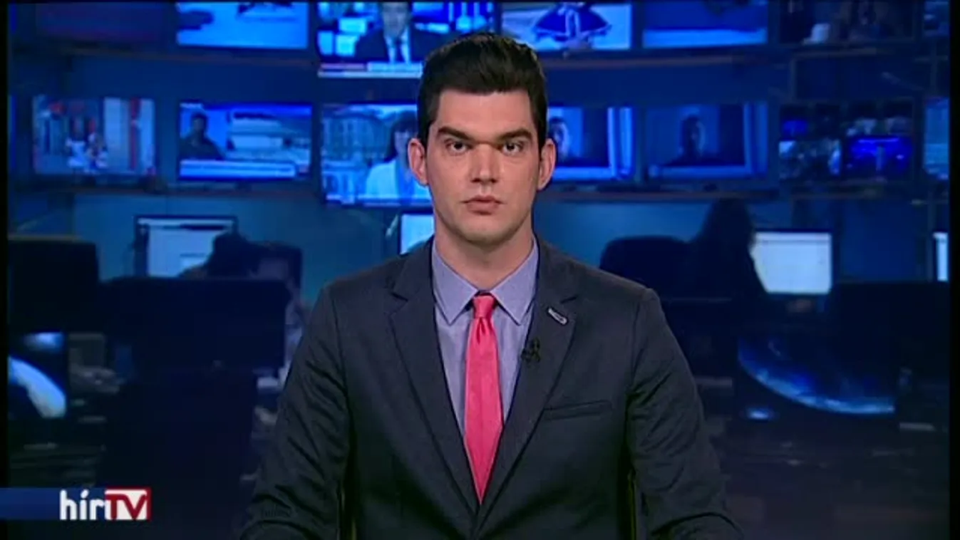 Tehenekkel vonulnak át Óbudáról