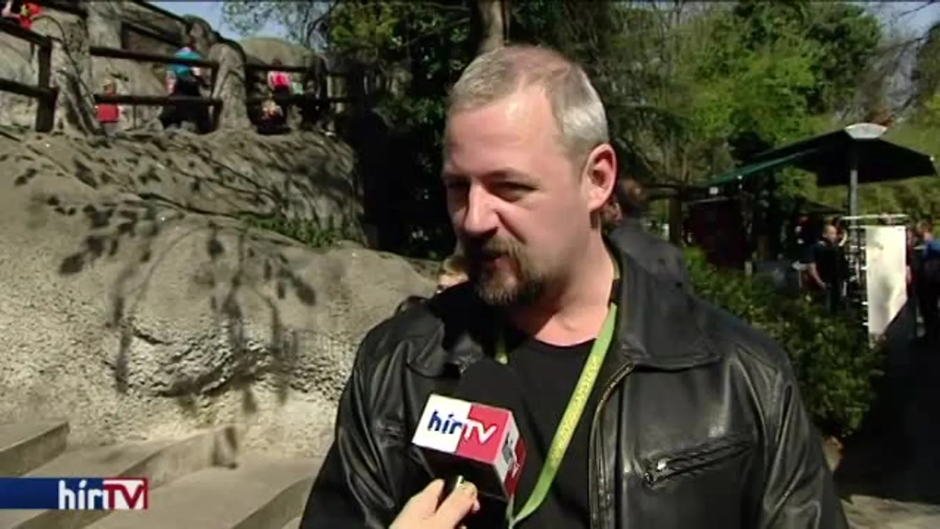 Bemutatták Skippy-t, az állatkert legfiatalabb pingvinjét