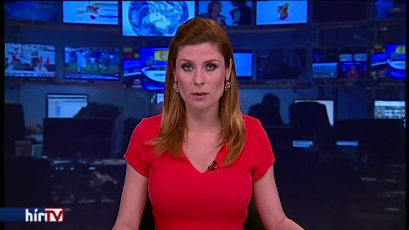 Már legálisan strandolhatnak a kutyák