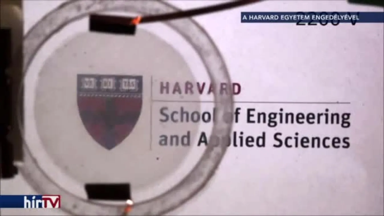 Felfedező - A katasztrófa árnyékában