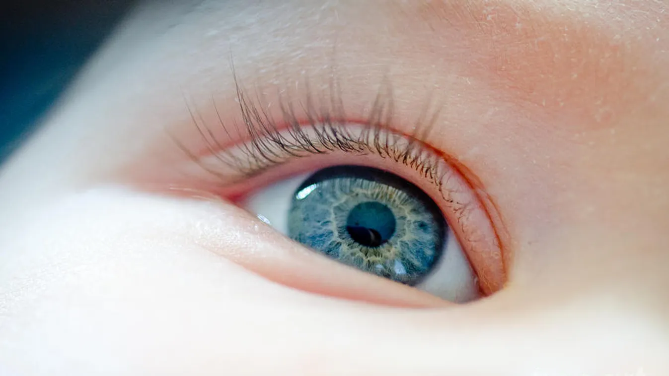 Babaszem – Felfedező