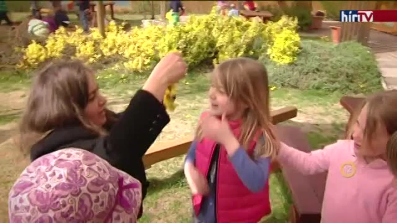 Lelkünk rajta - Intelligens érzelmek?