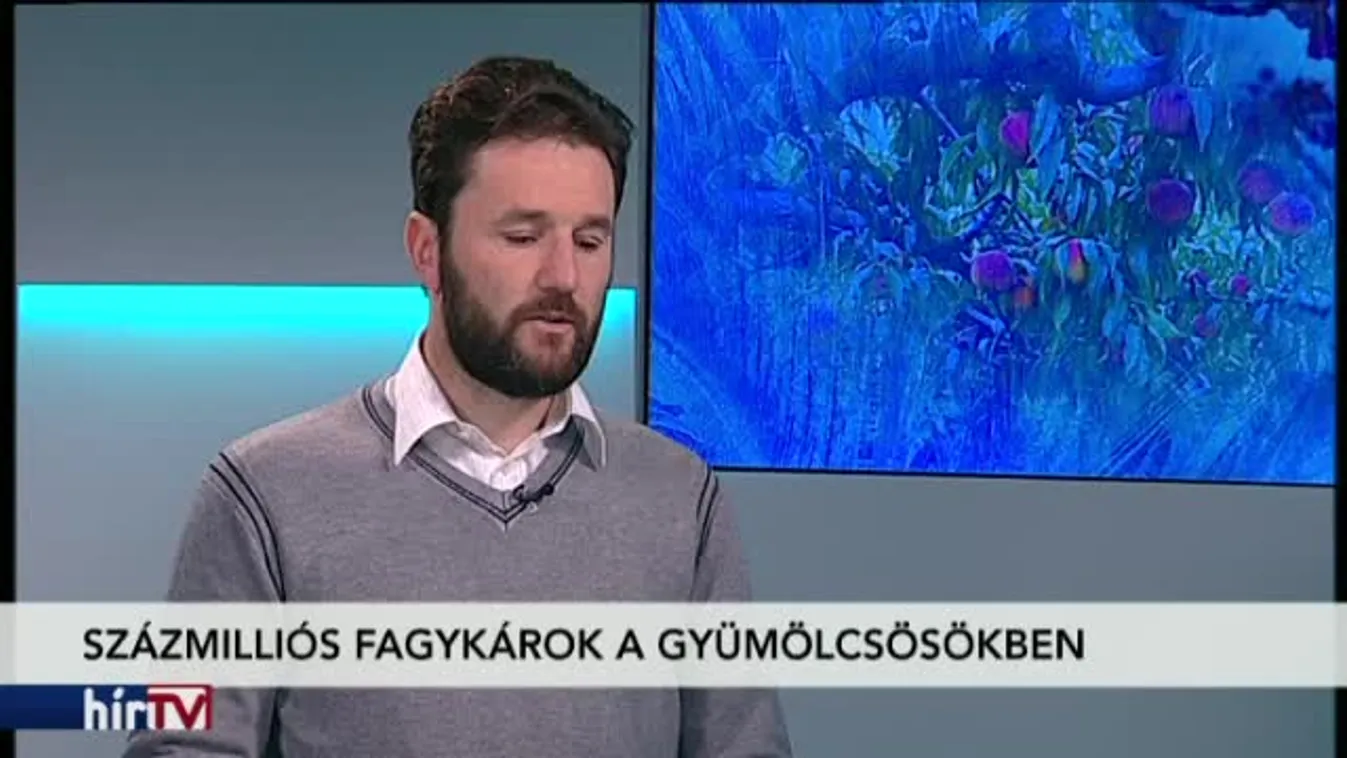 Reggeli járat - Fagy után