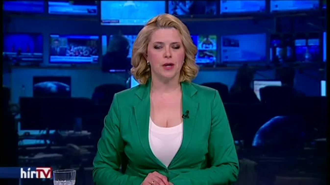 „A képviselőknek a Parlamentben is joguk van a magánélethez”