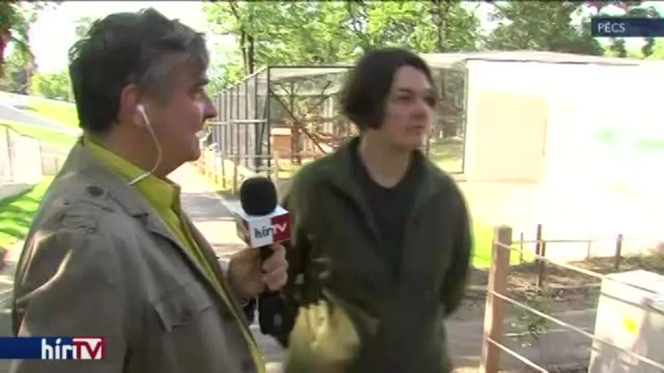 Reggeli járat – Nyílik a felújított pécsi állatkert